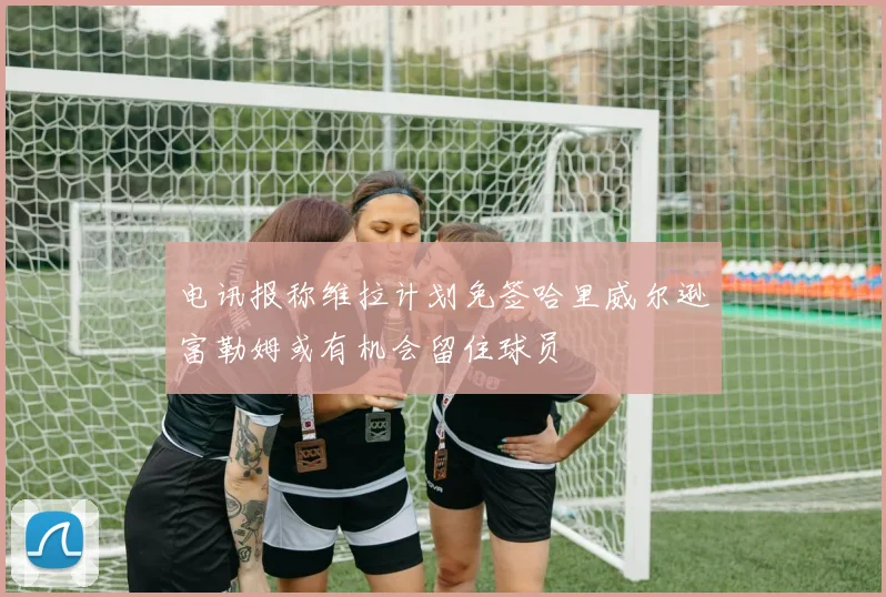 电讯报称维拉计划免签哈里威尔逊富勒姆或有机会留住球员