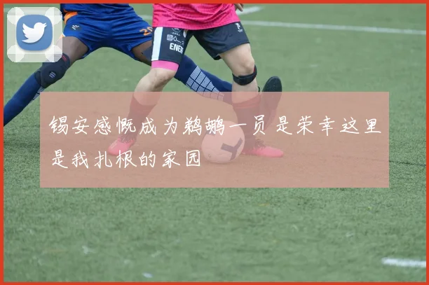锡安感慨成为鹈鹕一员是荣幸这里是我扎根的家园