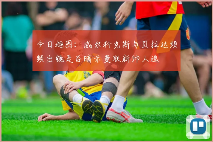 今日趣图：威尔科克斯与贝拉达频频出镜是否暗示曼联新帅人选