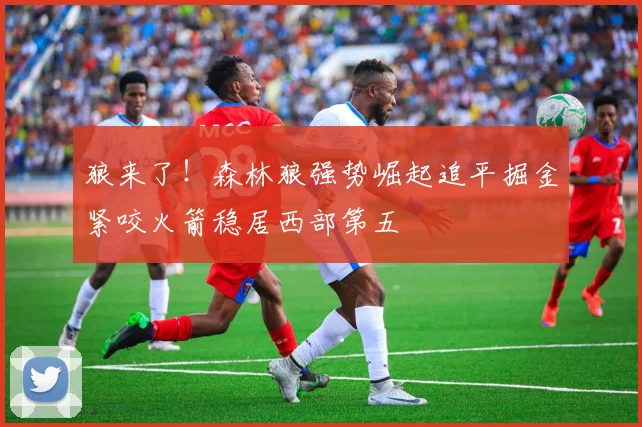 狼来了！森林狼强势崛起追平掘金紧咬火箭稳居西部第五