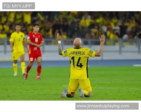 七名归化球员起诉马来西亚足协索赔因违规禁赛一年事件引发关注